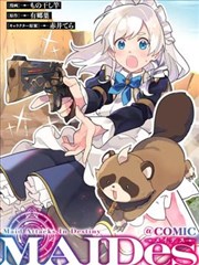 幻想设定系乙女漫画档案卡片封面